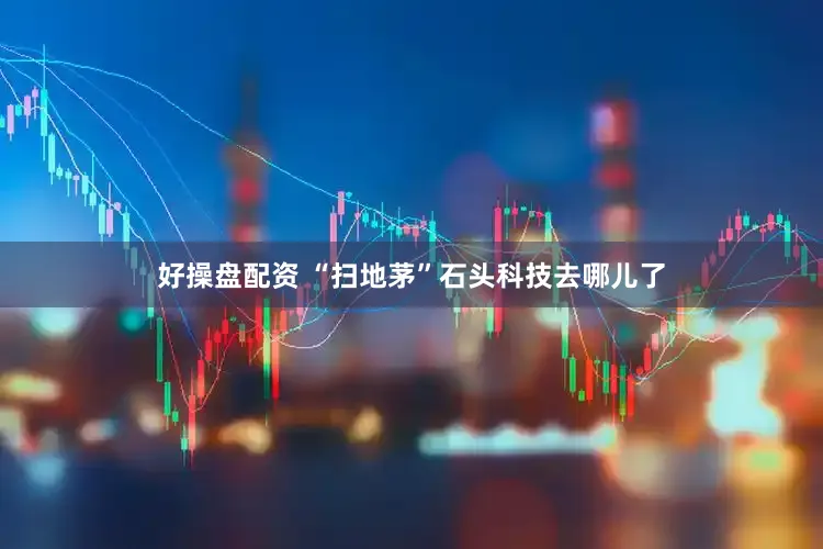 好操盘配资 “扫地茅”石头科技去哪儿了