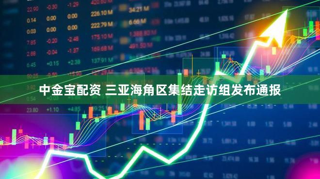 中金宝配资 三亚海角区集结走访组发布通报