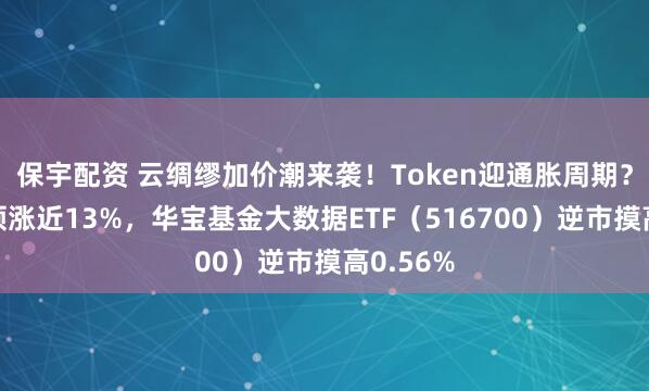 保宇配资 云绸缪加价潮来袭！Token迎通胀周期？易华录领涨近13%，华宝基金大数据ETF（516700）逆市摸高0.56%