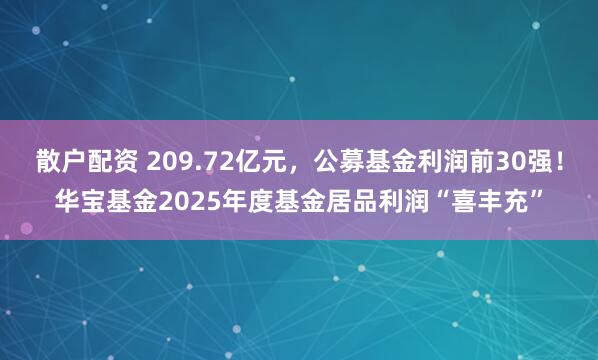散户配资 209.72亿元，公募基金利润前30强！华宝基金2025年度基金居品利润“喜丰充”