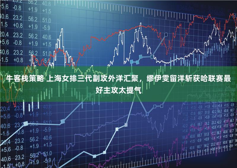 牛客栈策略 上海女排三代副攻外洋汇聚,缪伊雯留洋斩获哈联赛最好主攻太提气