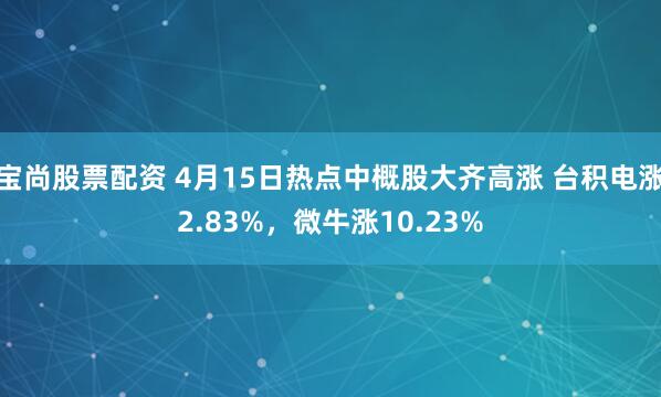 宝尚股票配资 4月15日热点中概股大齐高涨 台积电涨2.83%,微牛涨10.23%