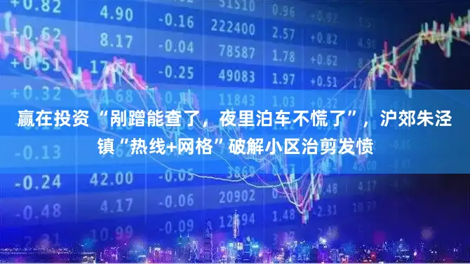 赢在投资 “剐蹭能查了，夜里泊车不慌了”，沪郊朱泾镇“热线+网格”破解小区治剪发愤