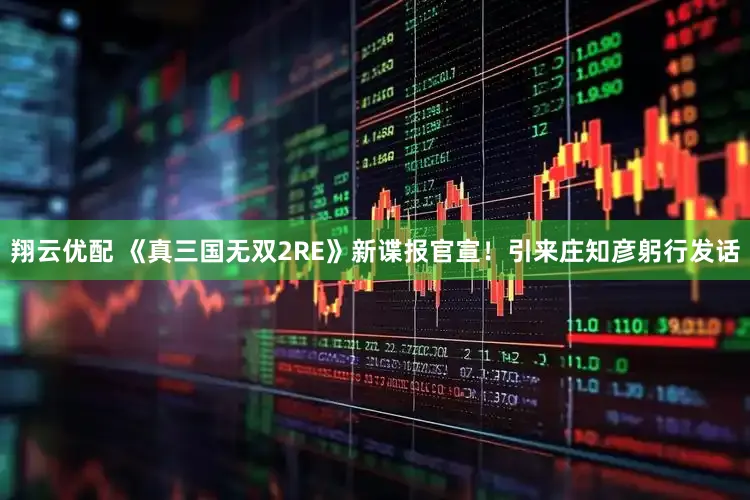 翔云优配 《真三国无双2RE》新谍报官宣！引来庄知彦躬行发话